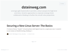 Tablet Screenshot of dsteinweg.com